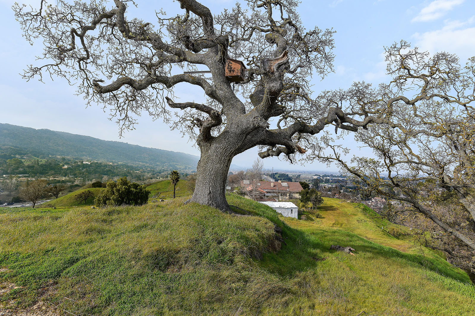  255 Happy Valley Rd, Pleasanton—Land, Home and Barn—Andy Read Realtor—Photo 5