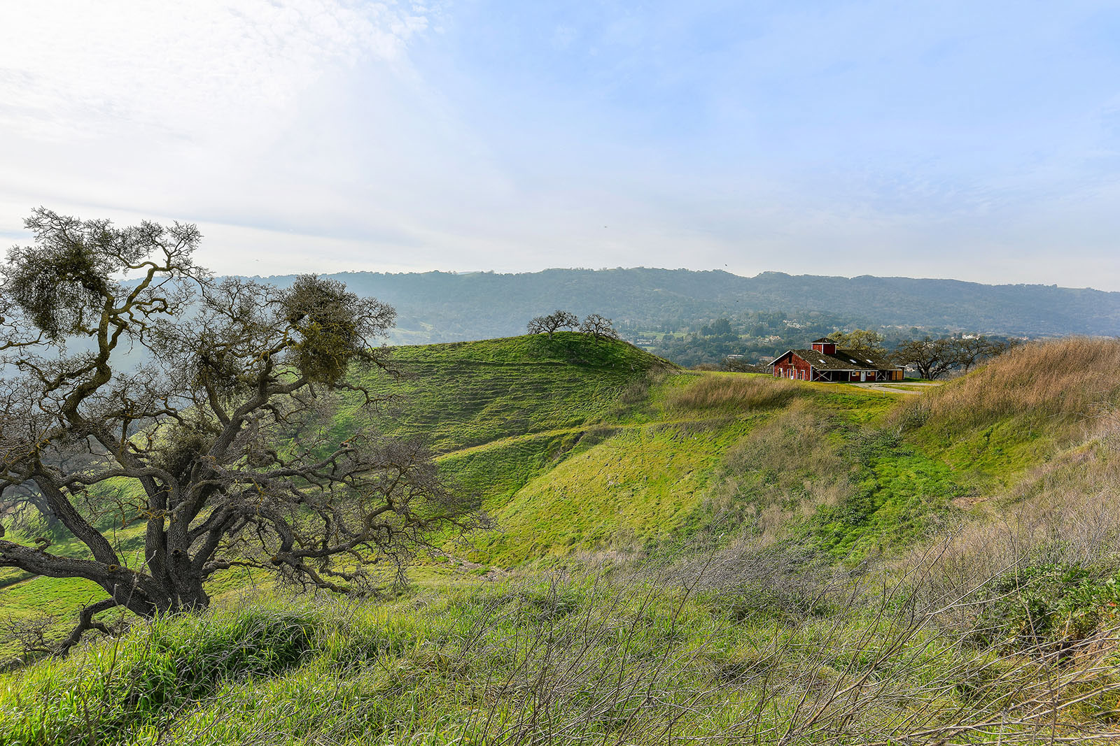  255 Happy Valley Rd, Pleasanton—Land, Home and Barn—Andy Read Realtor—Photo 1
