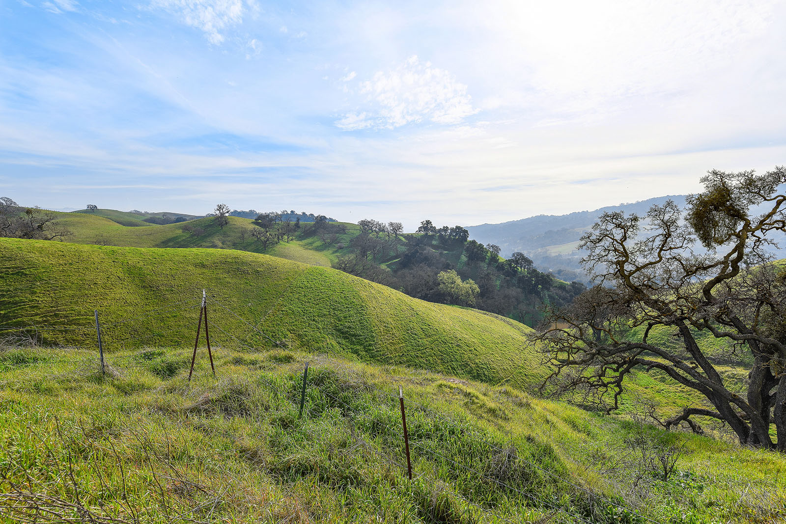  255 Happy Valley Rd, Pleasanton—Land, Home and Barn—Andy Read Realtor—Photo 2