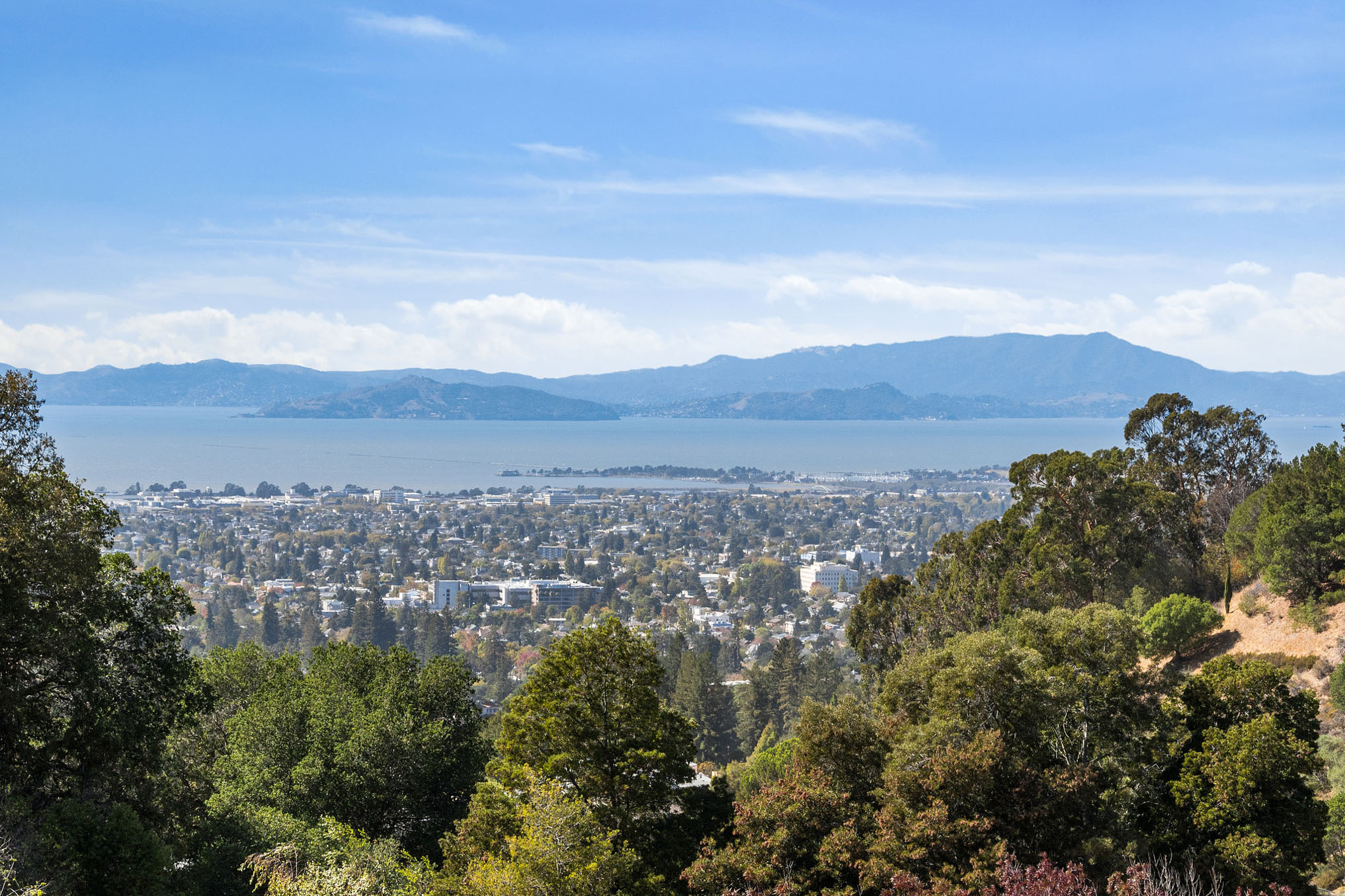  40 Spyglass Hill, Oakland—One Bedroom Condo in Hiller Highlands—Andy Read Realtor—Photo 16