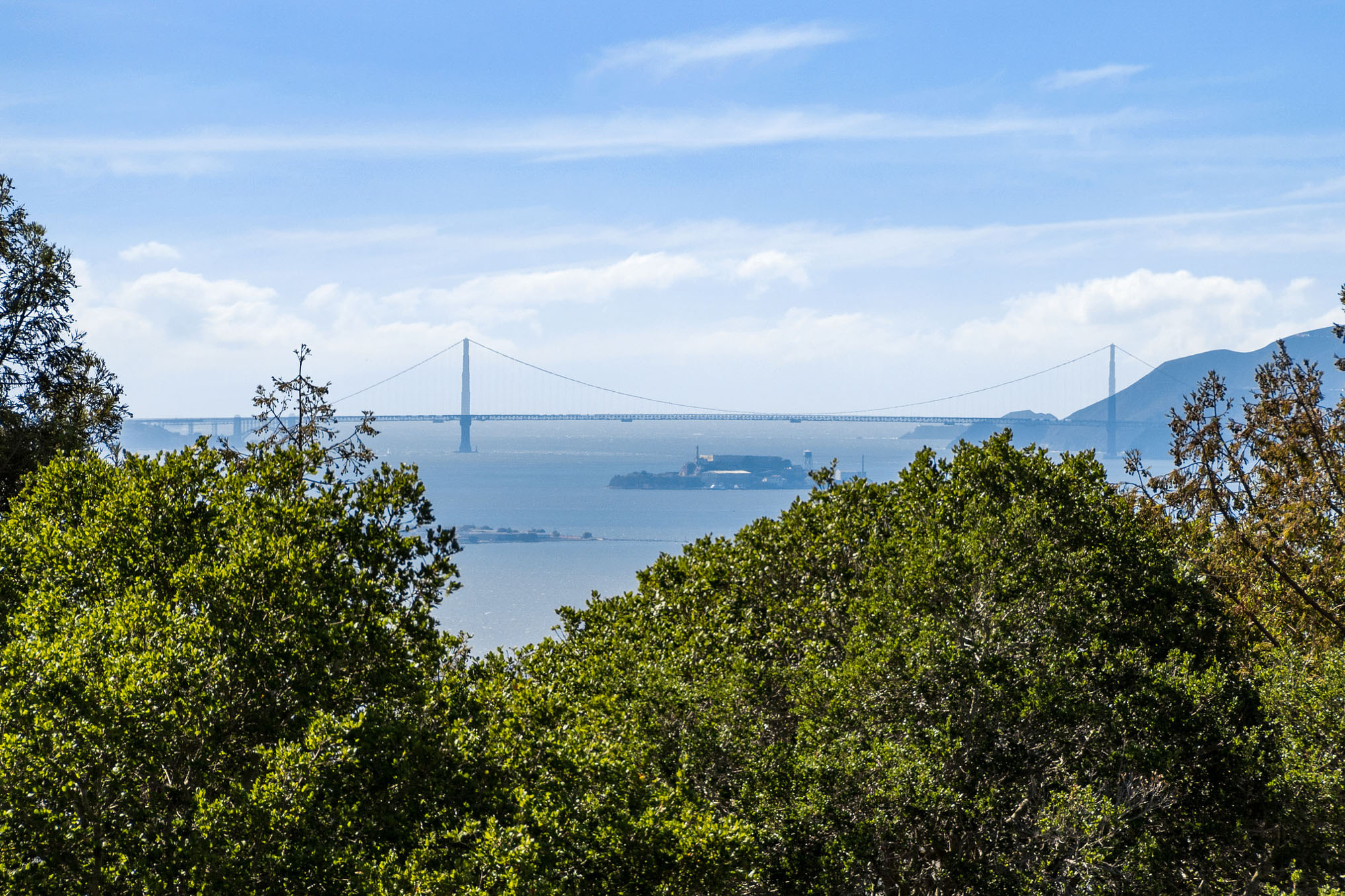  40 Spyglass Hill, Oakland—One Bedroom Condo in Hiller Highlands—Andy Read Realtor—Photo 15