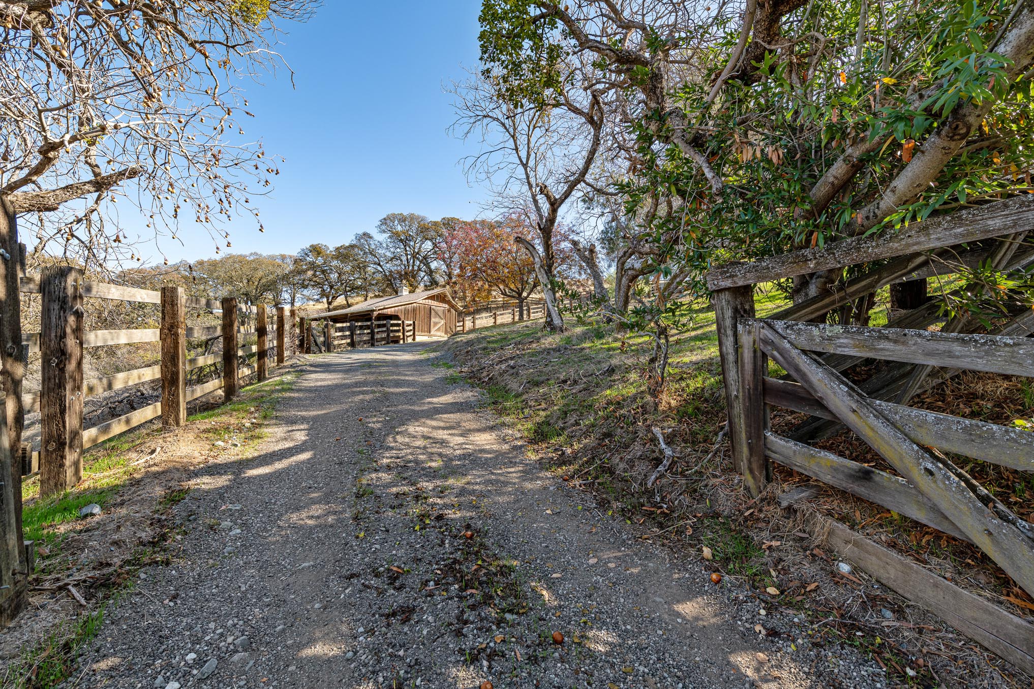  4970 Morgan Territory Rd, Clayton—Ranch Home, Barn on 17 acres of land with Mt. Diablo views perfect for equestrian use—Andy Read Realtor—Photo 3