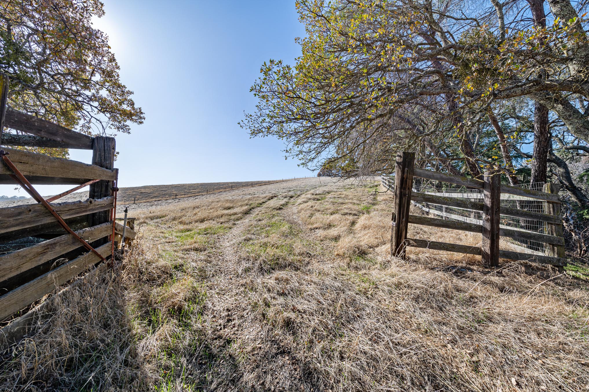  4970 Morgan Territory Rd, Clayton—Ranch Home, Barn on 17 acres of land with Mt. Diablo views perfect for equestrian use—Andy Read Realtor—Photo 5
