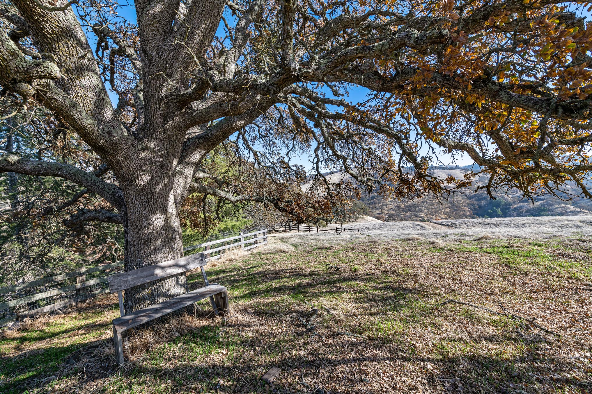  4970 Morgan Territory Rd, Clayton—Ranch Home, Barn on 17 acres of land with Mt. Diablo views perfect for equestrian use—Andy Read Realtor—Photo 6
