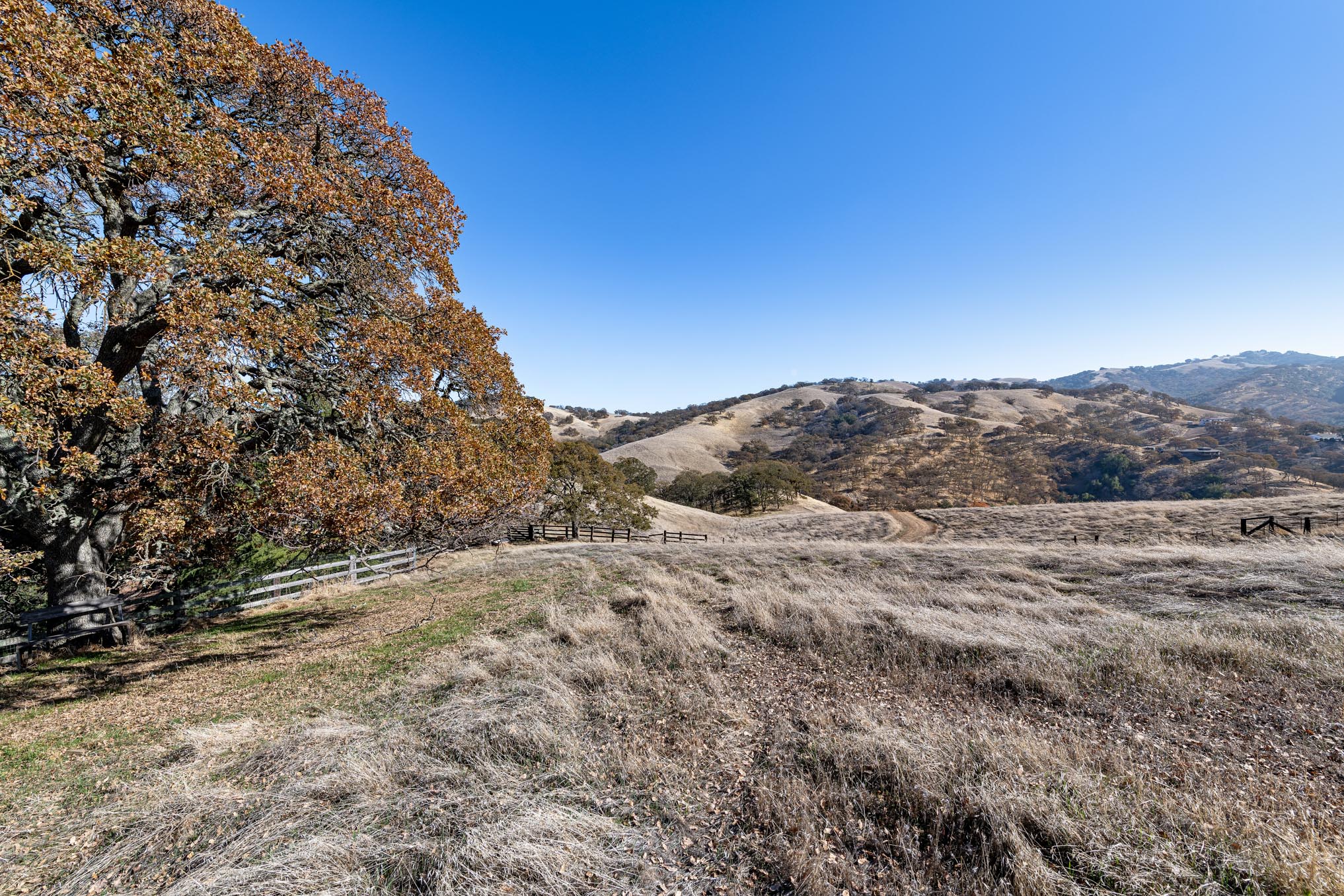  4970 Morgan Territory Rd, Clayton—Ranch Home, Barn on 17 acres of land with Mt. Diablo views perfect for equestrian use—Andy Read Realtor—Photo 7