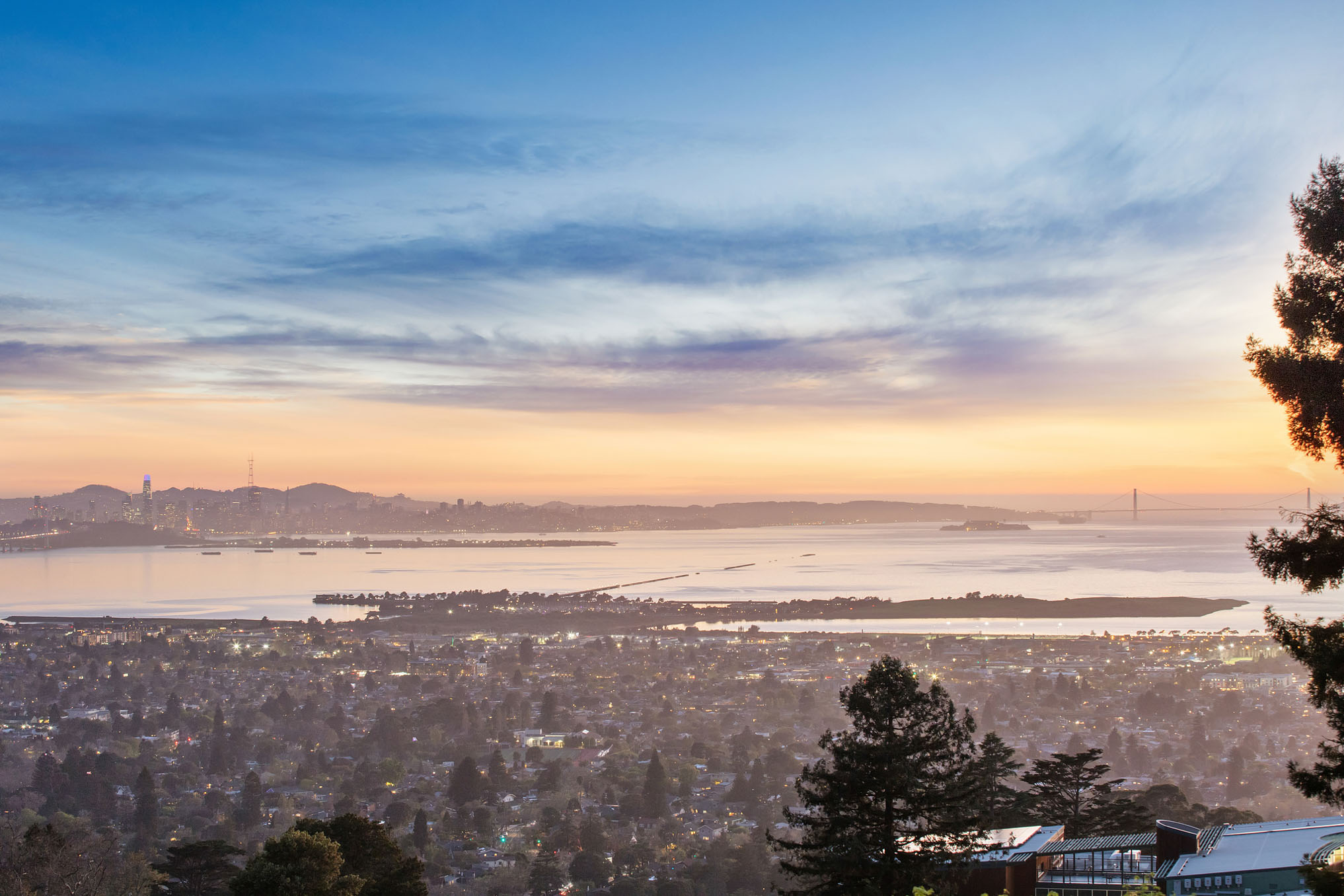  862 Euclid Ave, Berkeley—Cragmont Mid Century Modern Home—Andy Read Realtor—Photo 20
