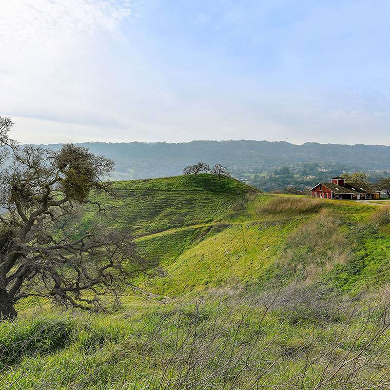 255 Happy Valley Rd, Pleasanton - Andy Read