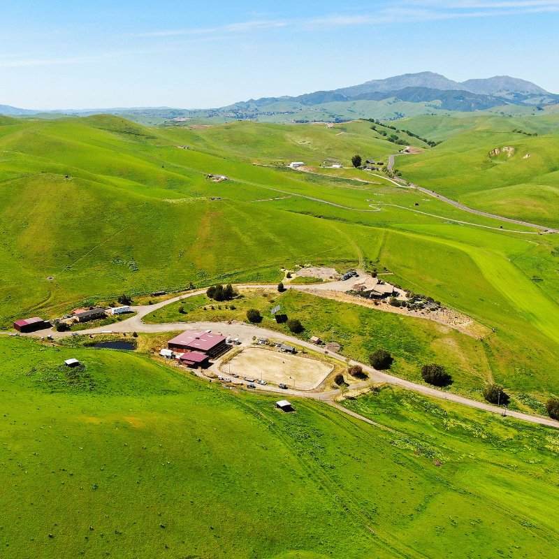 Painted Hills Ranch, Livermore - Andy Read