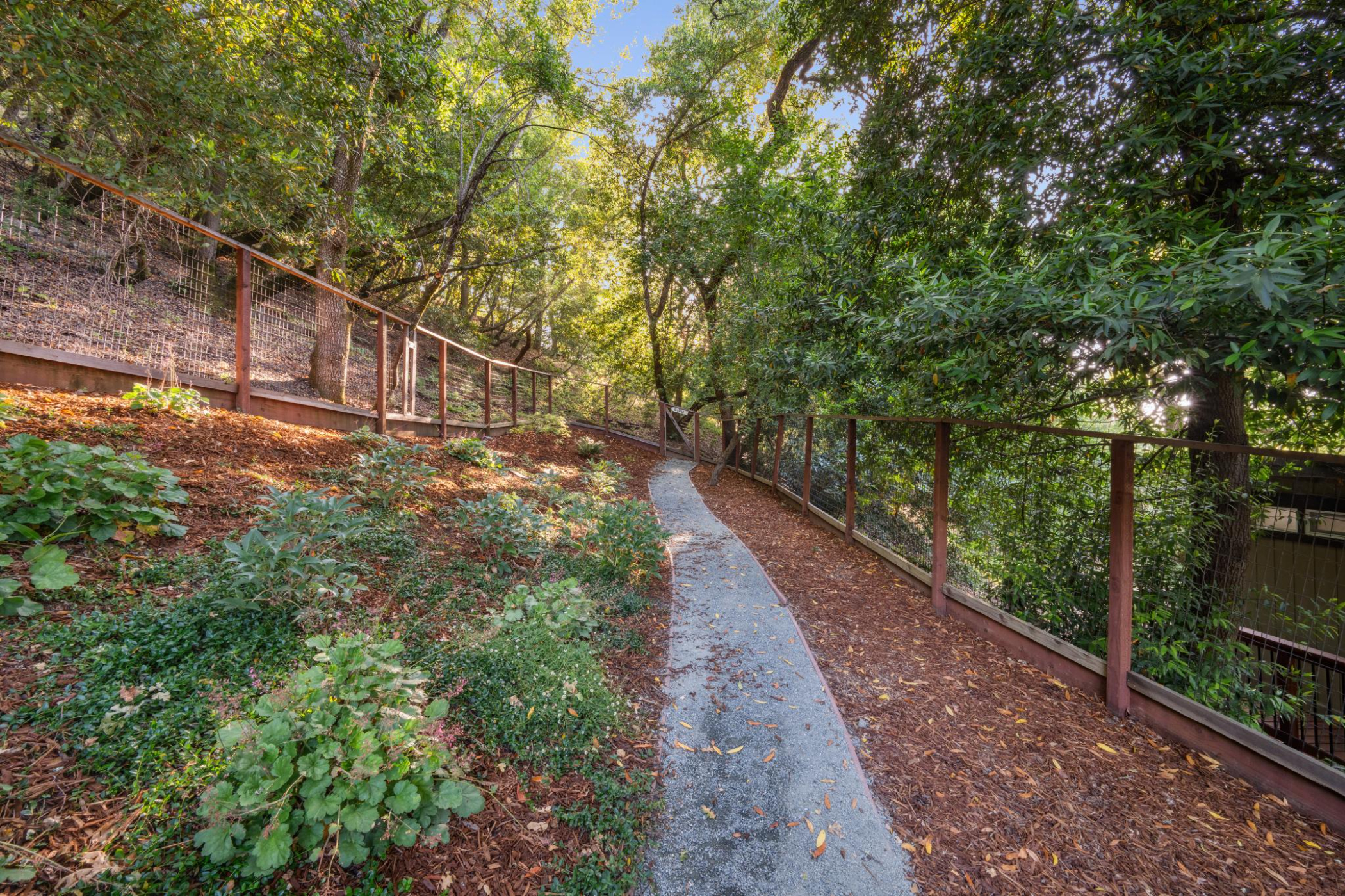  3721 Highland Ct, Lafayette—Andy Read Realtor—Photo 18